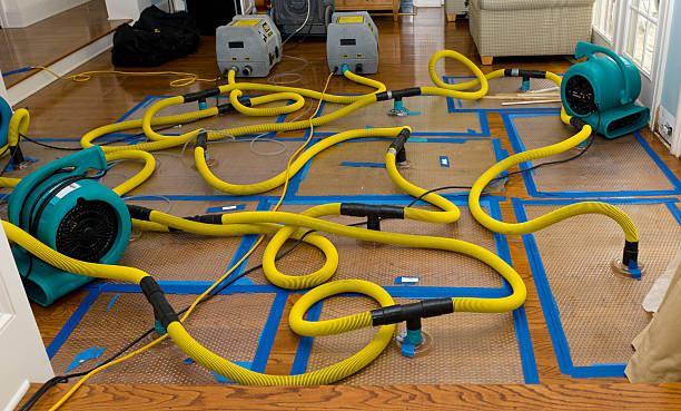 Professional Water Extraction technician working in Waverly, MN
